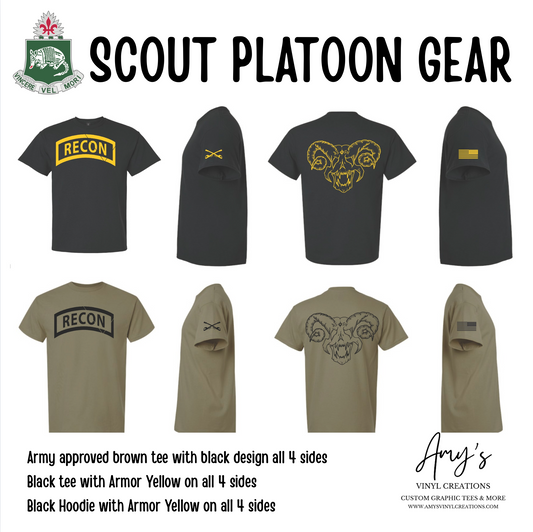Scout Platoon 1-35 AR
