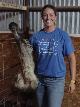 Krazy Arrow Ranchette Swag